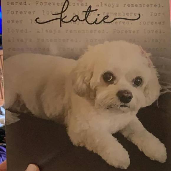 Meet your Posher, Geri - Picture 1 of 1